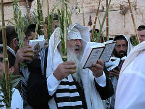 Jews worship in Jerusalem on the holiday of Sukkoth.