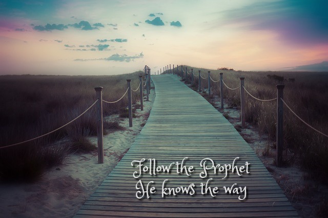 Pathway during sunset
